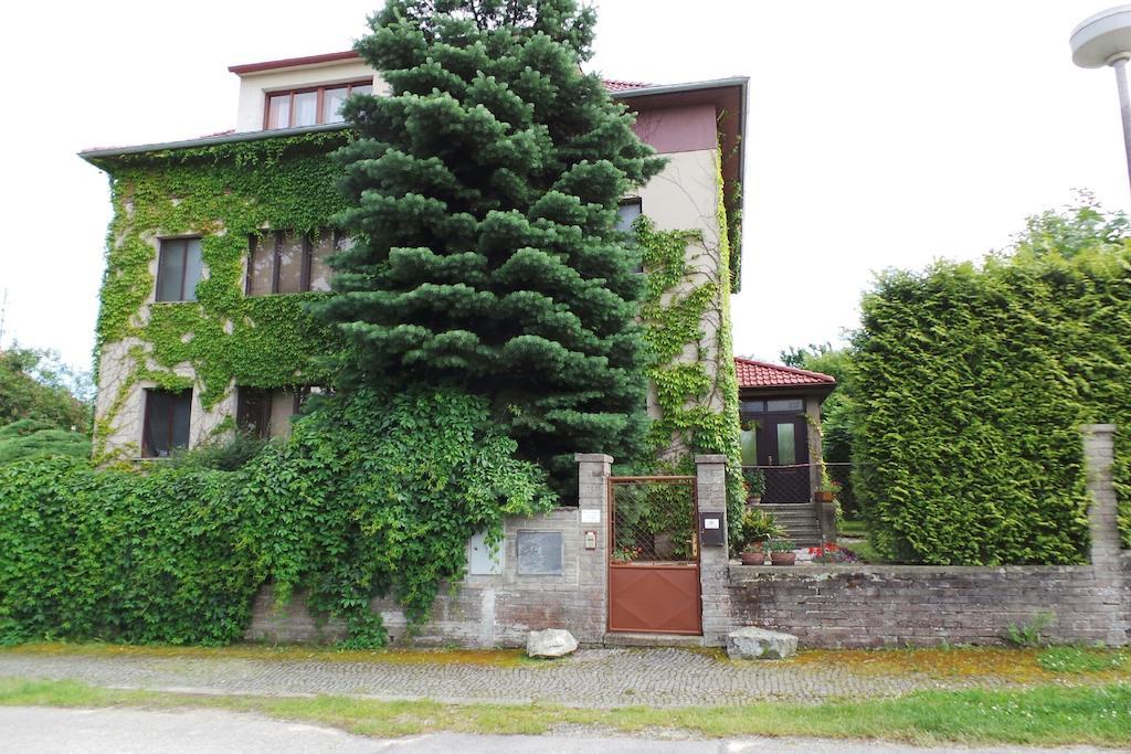 Penzion Sport Trebon Exterior photo